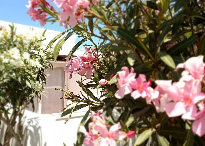 Appartamento Little Loft Playablanca