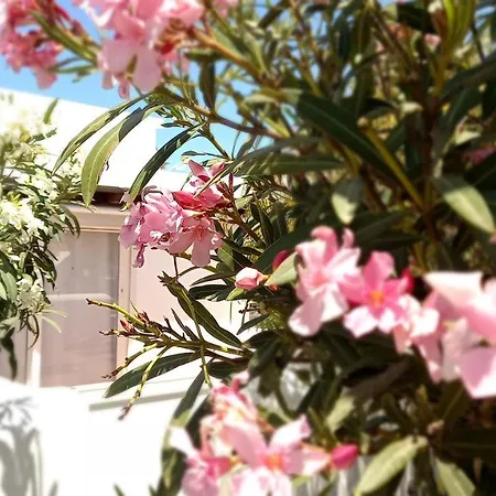 Apartament Little Loft Playablanca