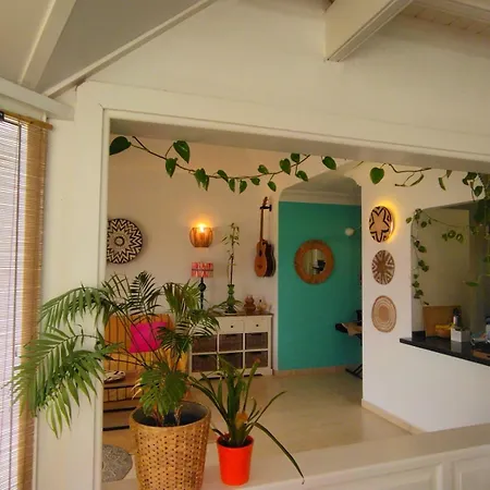 Apartment Little Loft Playablanca *